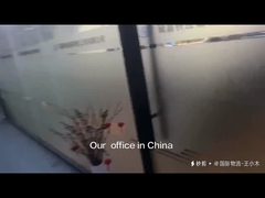 Transitário Internacional