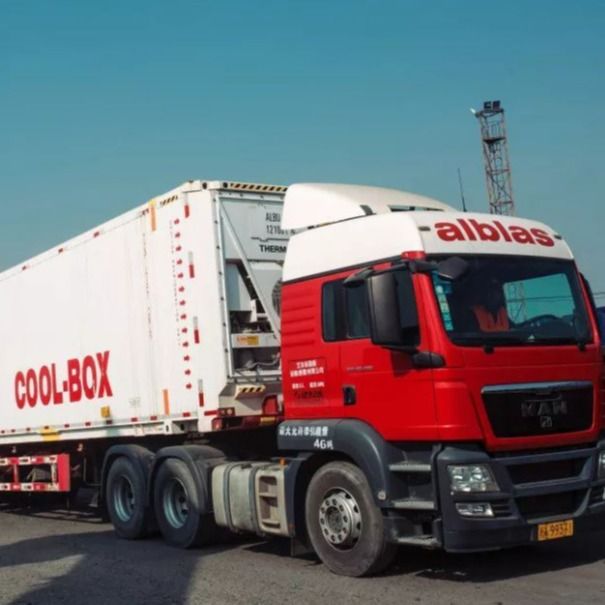 Caminhão de envio do recipiente de China à venda de Europa Holland Belgium Oversize Cargo For