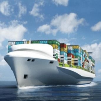 Frete Marítimo Logística Transitário Internacional China Muito Barato LCL Fcl Transporte de Contêineres