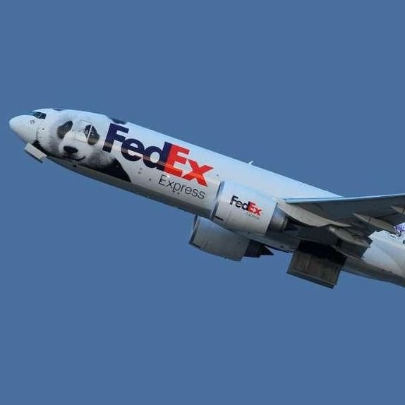 Transporte internacional porta a porta UPS Air Freight FedEx de Xangai, China para Israel
