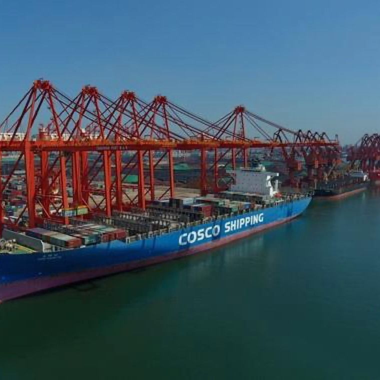 mar global China da CORRENTE DE RELÓGIO LCL do centro do transporte da gota 3c a Jordânia remetente de frete de um Exw de 3 dias