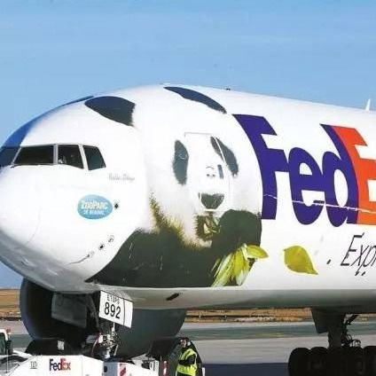 A entrega EXPRESSA a França levanta a porta de DHL Fedex ao transporte internacional da porta