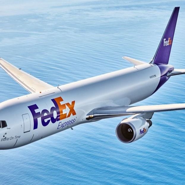 Frete internacional de Fedex DHL que envia serviços da importação da exportação de China a Nova Zelândia