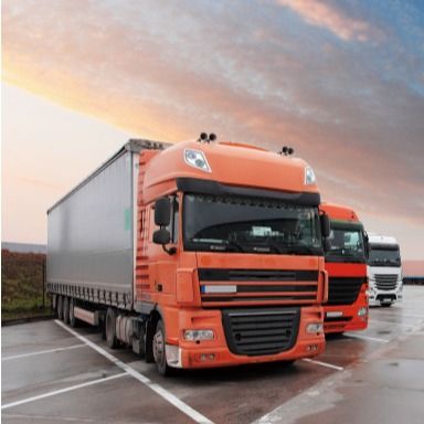 Mar de Ddp que envia Dhl Fedex de China Shanghai à Espanha Luxemburgo Portugal durante todo o caminhão de Europa